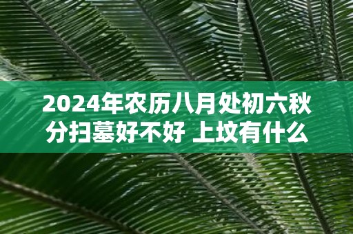 2025年农历八月处初六秋分扫墓好不好 上坟有什么禁忌