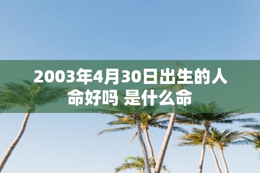 2003年4月30日出生的人命好吗 是什么命