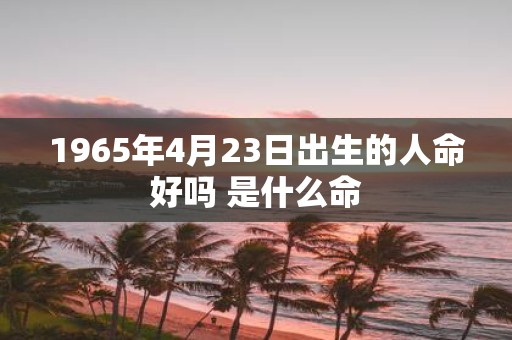 1965年4月23日出生的人命好吗 是什么命