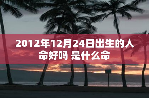 2012年12月24日出生的人命好吗 是什么命