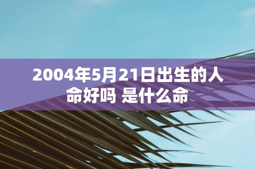 2004年5月21日出生的人命好吗 是什么命