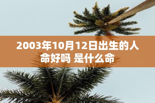 2003年10月12日出生的人命好吗 是什么命