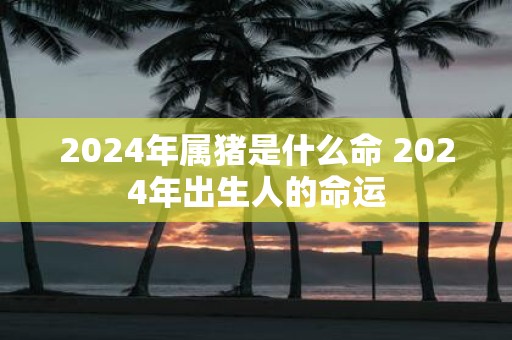 2025年属猪是什么命 2025年出生人的命运