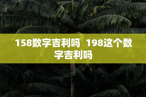 158数字吉利吗 198这个数字吉利吗