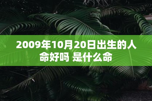 2009年10月20日出生的人命好吗 是什么命