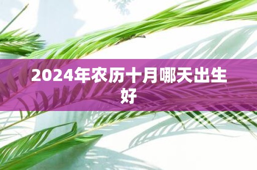 2025年农历十月哪天出生好