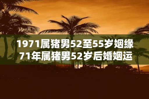 1971属猪男52至55岁姻缘 71年属猪男52岁后婚姻运势 1971属猪男52至55岁姻缘 71年属猪男52岁后婚姻运势