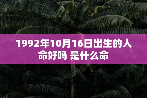 1992年10月16日出生的人命好吗 是什么命