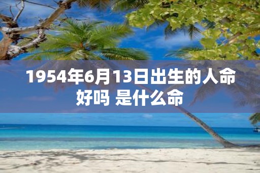 1954年6月13日出生的人命好吗 是什么命