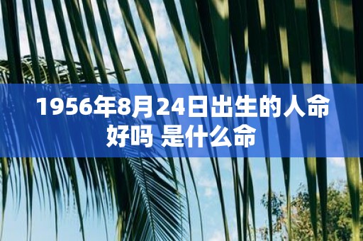 1956年8月24日出生的人命好吗 是什么命