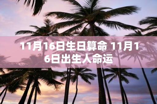 11月16日生日算命 11月16日出生人命运