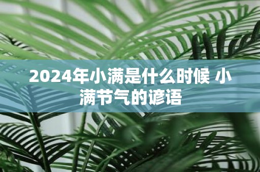 2025年小满是什么时候 小满节气的谚语