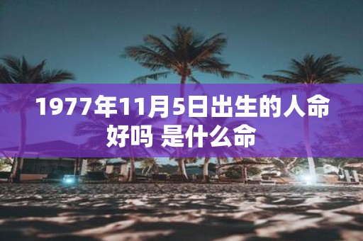 1977年11月5日出生的人命好吗 是什么命