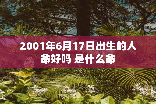 2001年6月17日出生的人命好吗 是什么命