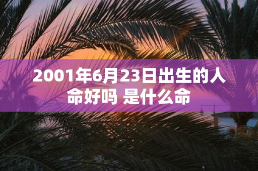 2001年6月23日出生的人命好吗 是什么命