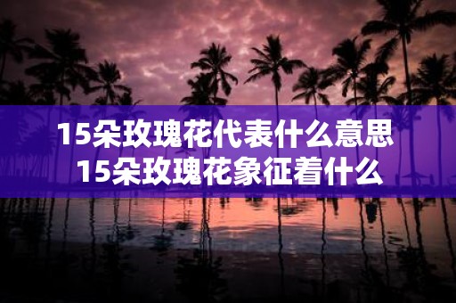 15朵玫瑰花代表什么意思 15朵玫瑰花象征着什么