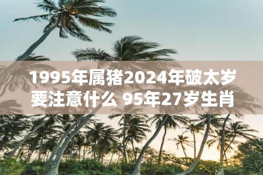 1995年属猪2025年破太岁要注意什么 95年27岁生肖猪逢虎年运势如何