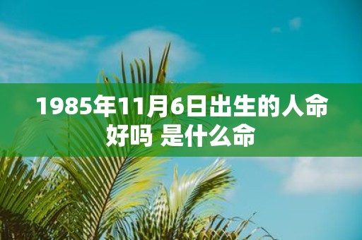 1985年11月6日出生的人命好吗 是什么命