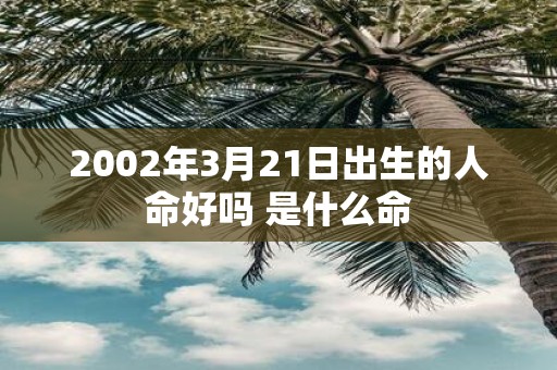 2002年3月21日出生的人命好吗 是什么命