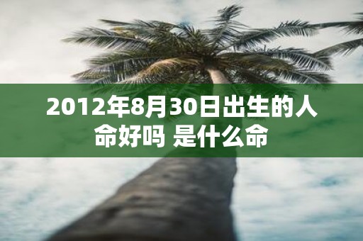 2012年8月30日出生的人命好吗 是什么命