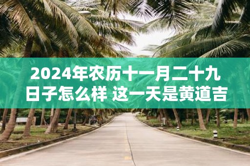 2025年农历十一月二十九日子怎么样 这一天是黄道吉日吗