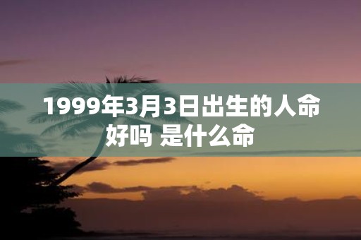 1999年3月3日出生的人命好吗 是什么命