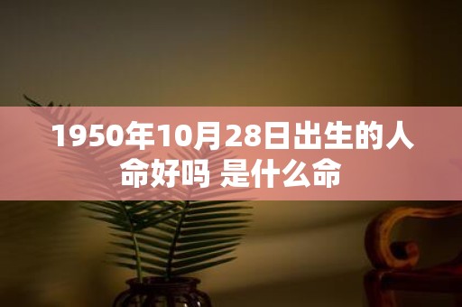 1950年10月28日出生的人命好吗 是什么命