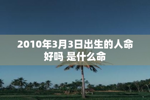 2010年3月3日出生的人命好吗 是什么命