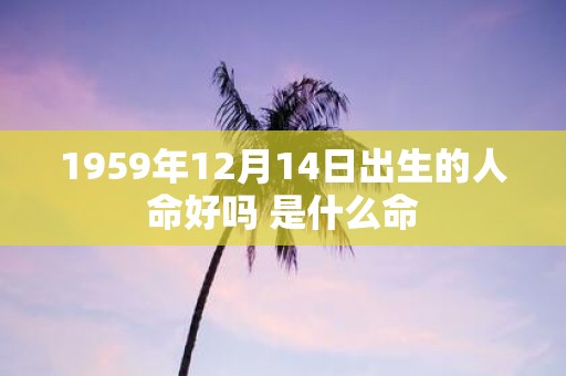 1959年12月14日出生的人命好吗 是什么命