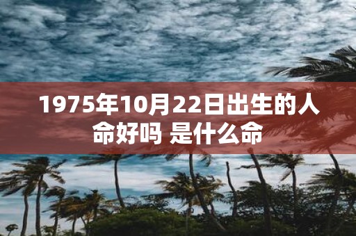 1975年10月22日出生的人命好吗 是什么命