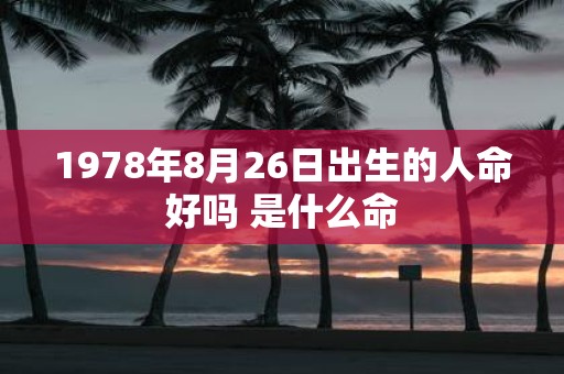 1978年8月26日出生的人命好吗 是什么命