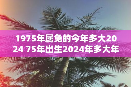1975年属兔的今年多大2025 75年出生2025年多大年龄