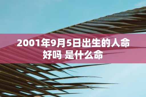 2001年9月5日出生的人命好吗 是什么命