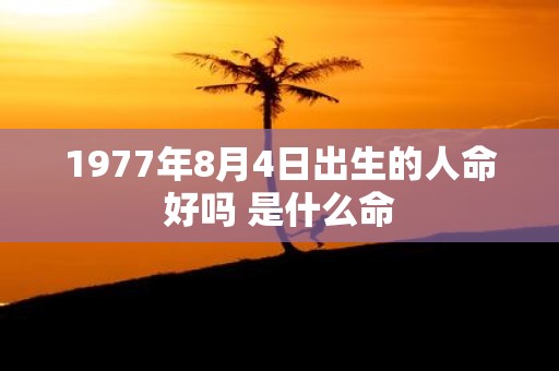 1977年8月4日出生的人命好吗 是什么命