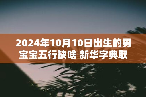 2025年10月10日出生的男宝宝五行缺啥 新华字典取名