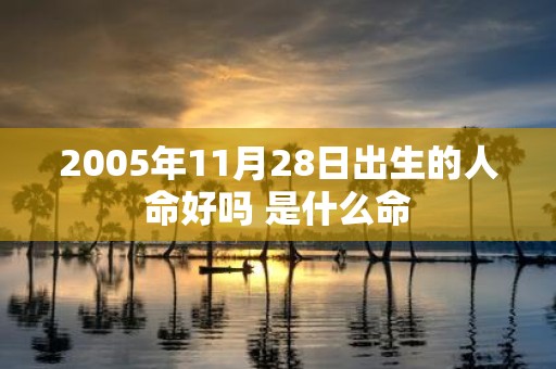 2005年11月28日出生的人命好吗 是什么命