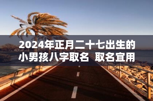 2025年正月二十七出生的小男孩八字取名 取名宜用字