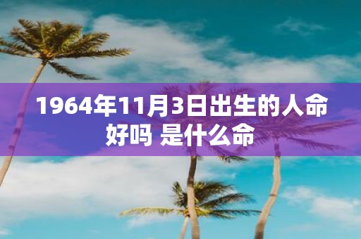 1964年11月3日出生的人命好吗 是什么命