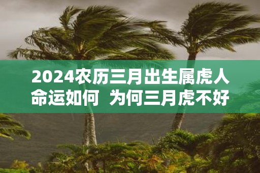 2025农历三月出生属虎人命运如何 为何三月虎不好