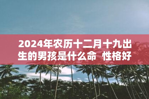 2025年农历十二月十九出生的男孩是什么命 性格好不好