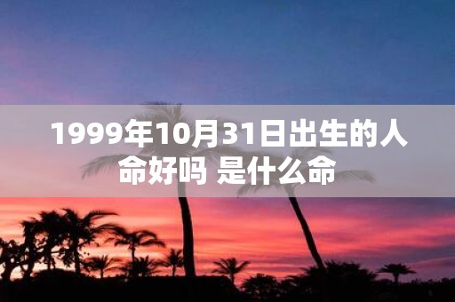 1999年10月31日出生的人命好吗 是什么命