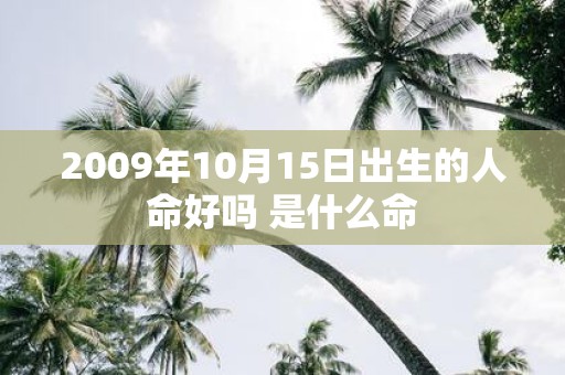 2009年10月15日出生的人命好吗 是什么命