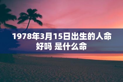 1978年3月15日出生的人命好吗 是什么命