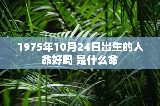 1975年10月24日出生的人命好吗 是什么命