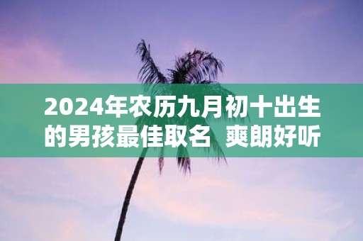 2025年农历九月初十出生的男孩最佳取名 爽朗好听的名字