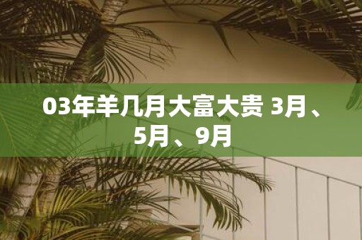 03年羊几月大富大贵 3月、5月、9月