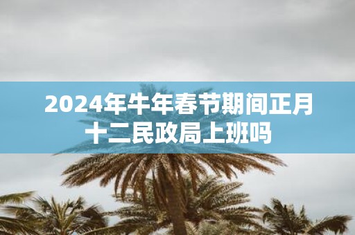 2025年牛年春节期间正月十二民政局上班吗