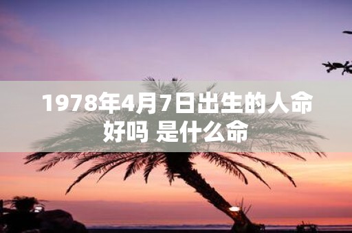 1978年4月7日出生的人命好吗 是什么命