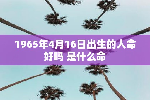 1965年4月16日出生的人命好吗 是什么命