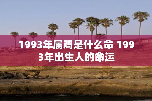 1993年属鸡是什么命 1993年出生人的命运